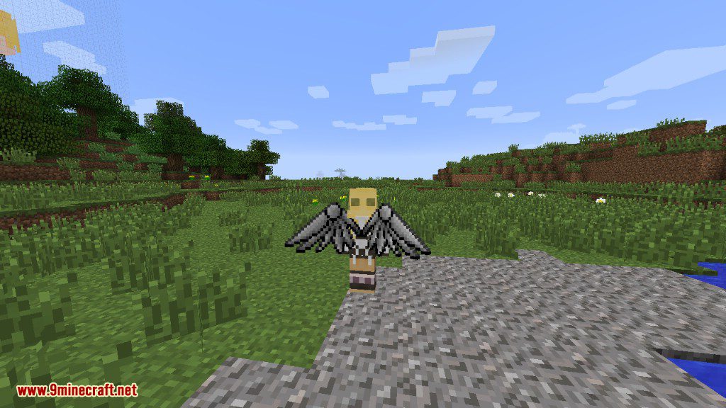 Cosmetic Wings Mod 1.12.1, 1.11.2 (Fully Customizable Wings) 12