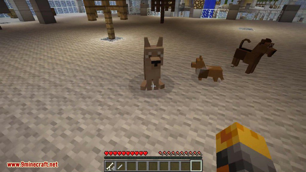 DoggyStyle Mod 1.8.9, 1.7.10 (Dog Breeds, Dog House) 30