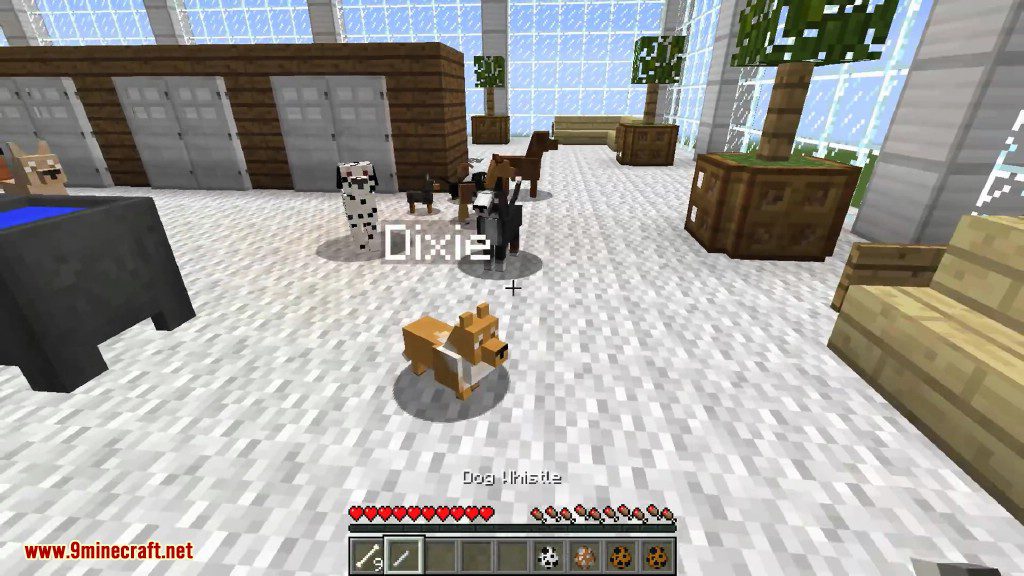 DoggyStyle Mod 1.8.9, 1.7.10 (Dog Breeds, Dog House) 32