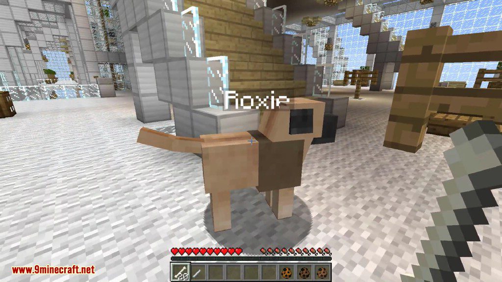 DoggyStyle Mod 1.8.9, 1.7.10 (Dog Breeds, Dog House) 24