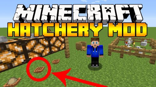 Hatchery Mod 1.12.2, 1.11.2 (Be a Real Life Chicken Farmer) Thumbnail