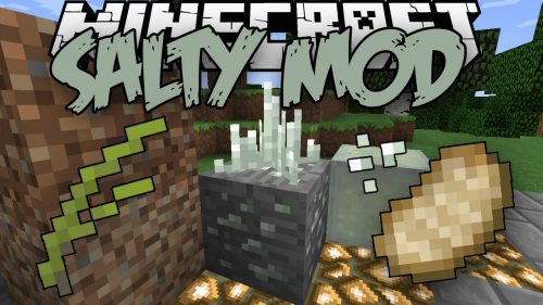 Salty Mod 1.15.2, 1.12.2 (Extremely Necessary Factors in Life) Thumbnail