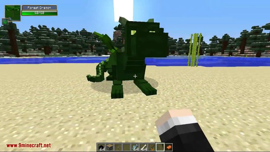 Dragon Mounts Mod (1.12.2, 1.10.2) - Ride, Tame Dragons 20