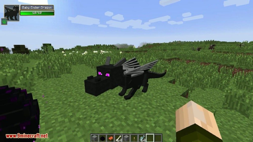 Dragon Mounts Mod (1.12.2, 1.10.2) - Ride, Tame Dragons 9