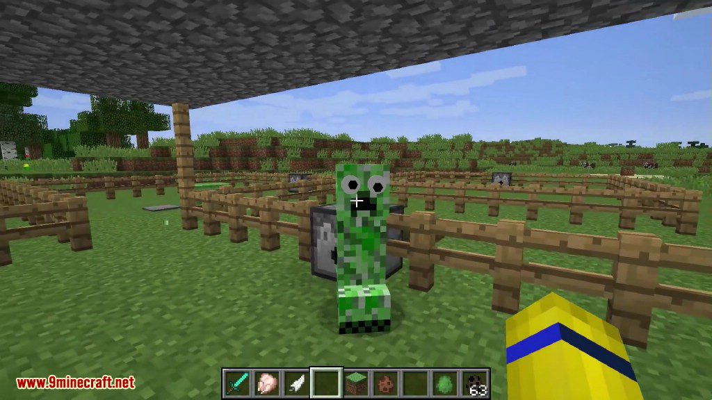 GooglyEyes Mod 1.16.5, 1.15.2 (Jiggly Eyes) 17