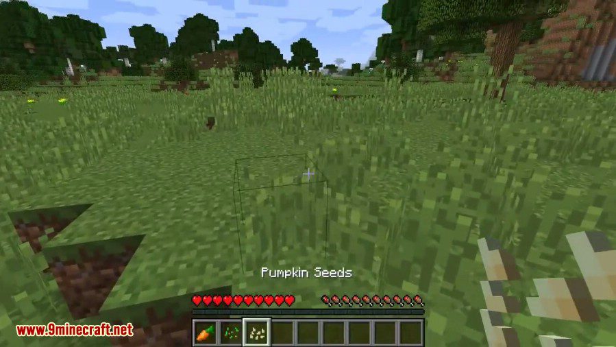 Seed Drop Mod (1.20.1, 1.19.4) - Seed Types Dropable From Grass 3