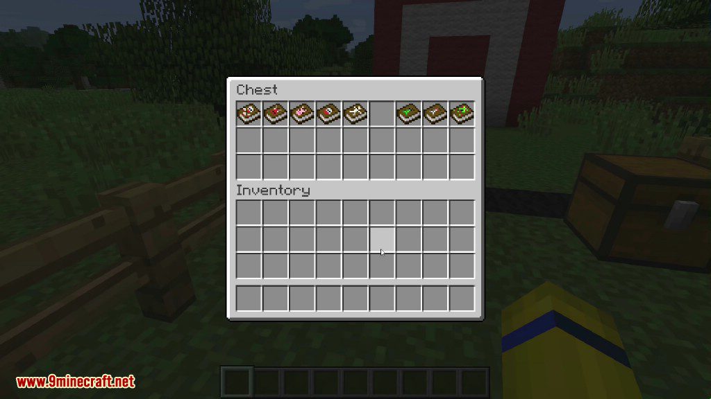 BasseBombeCraft Mod 1.16.5, 1.15.2 (Magical Books) 2