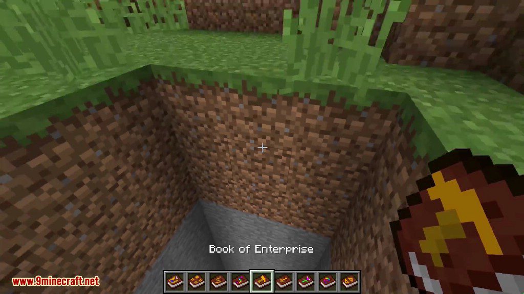 BasseBombeCraft Mod 1.16.5, 1.15.2 (Magical Books) 25