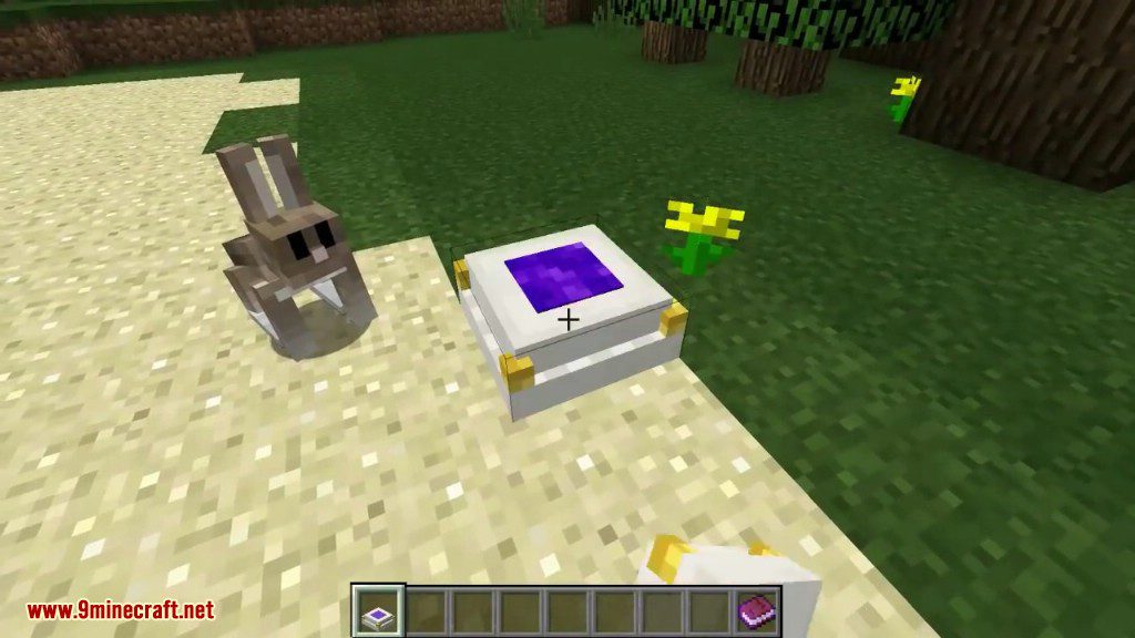 Simple Teleporters Mod (1.19, 1.12.2) - Quickly Travel Your World 4