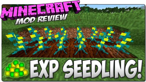 Experience Seedling Mod (1.20.2, 1.19.4) – The Seeds are Very Expensive Thumbnail