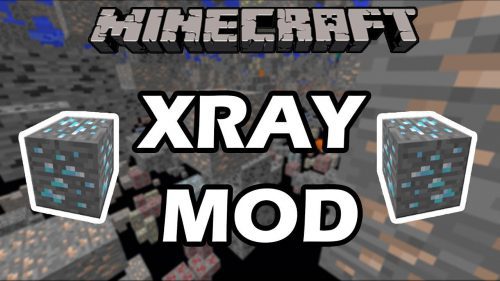 Julialy’s X-Ray Mod 1.11.2, 1.10.2 (LiteLoader Version) Thumbnail