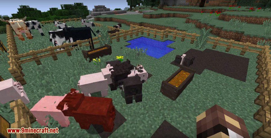 Animania Mod (1.12.2, 1.11.2) - So Many Insane Animals 24