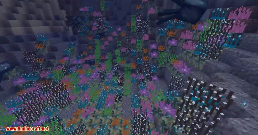 CoralReef Mod (1.19.2, 1.18.2) - Small Aesthetic Mod 5