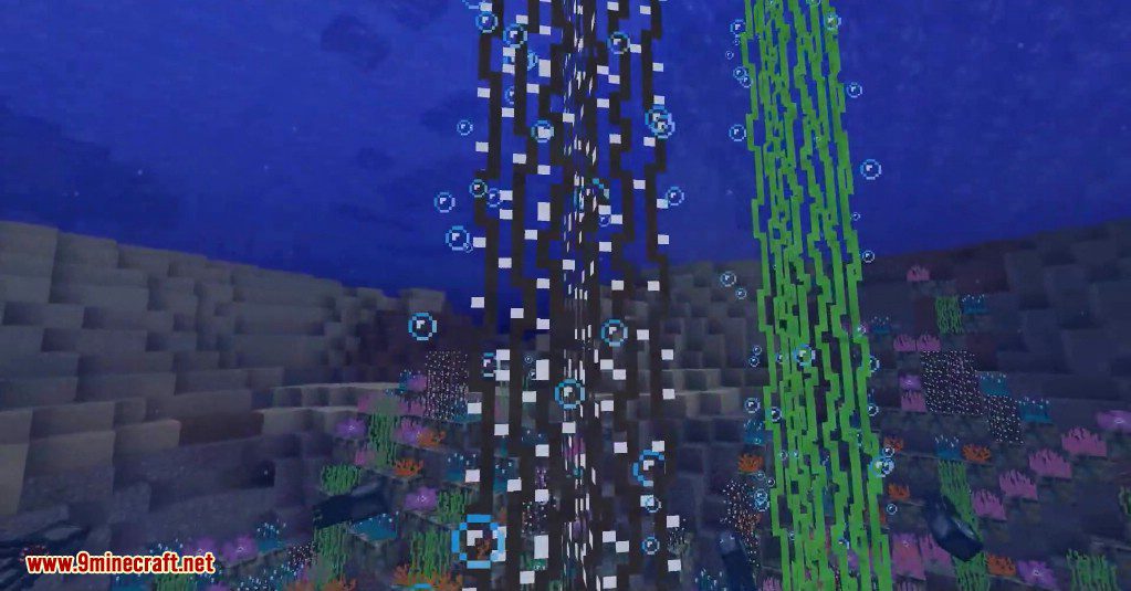 CoralReef Mod (1.19.2, 1.18.2) - Small Aesthetic Mod 14