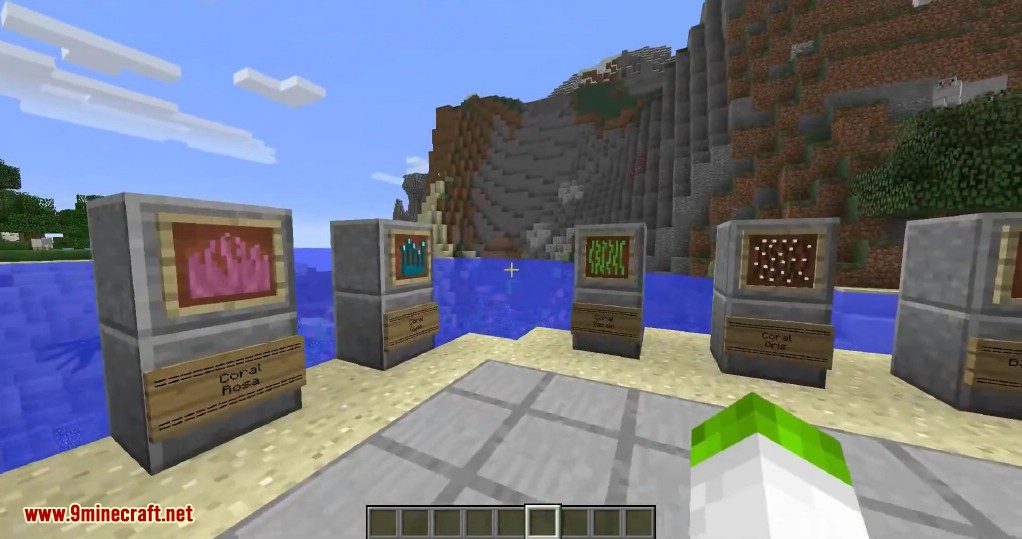 CoralReef Mod (1.19.2, 1.18.2) - Small Aesthetic Mod 8