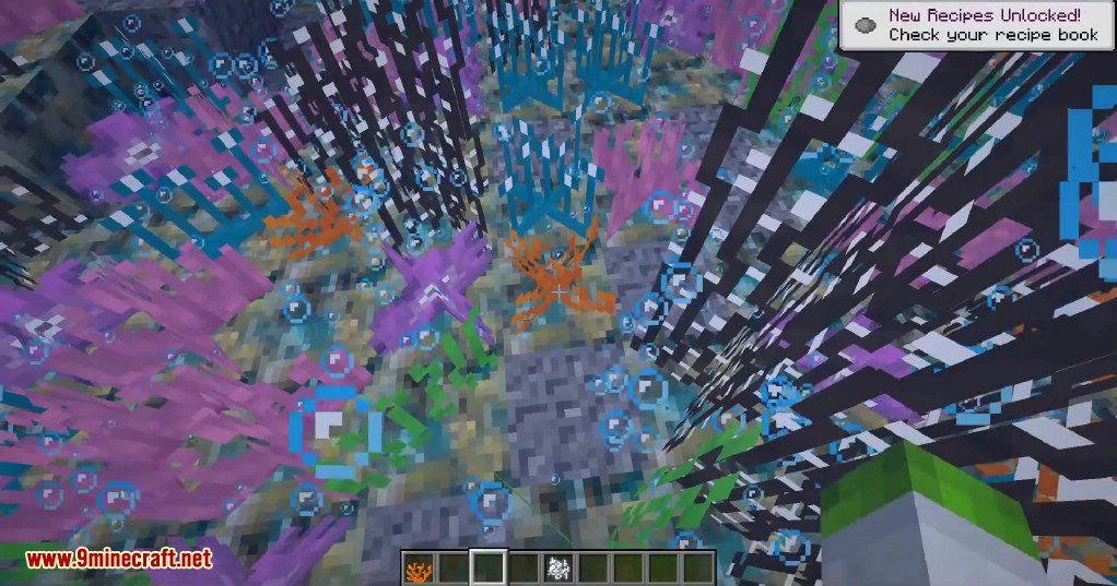 CoralReef Mod (1.19.2, 1.18.2) - Small Aesthetic Mod 9