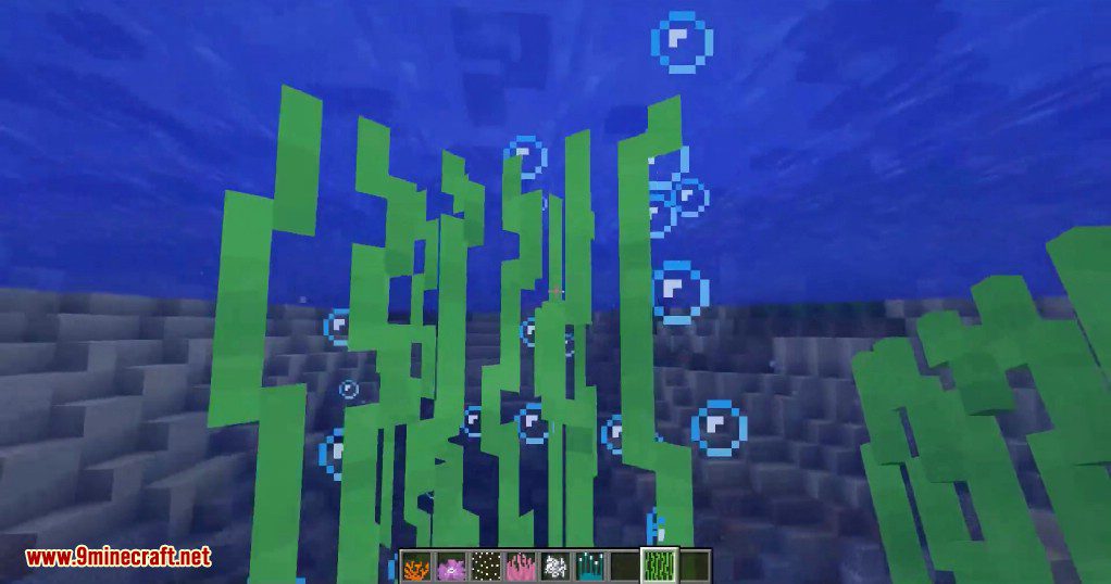 CoralReef Mod (1.19.2, 1.18.2) - Small Aesthetic Mod 13