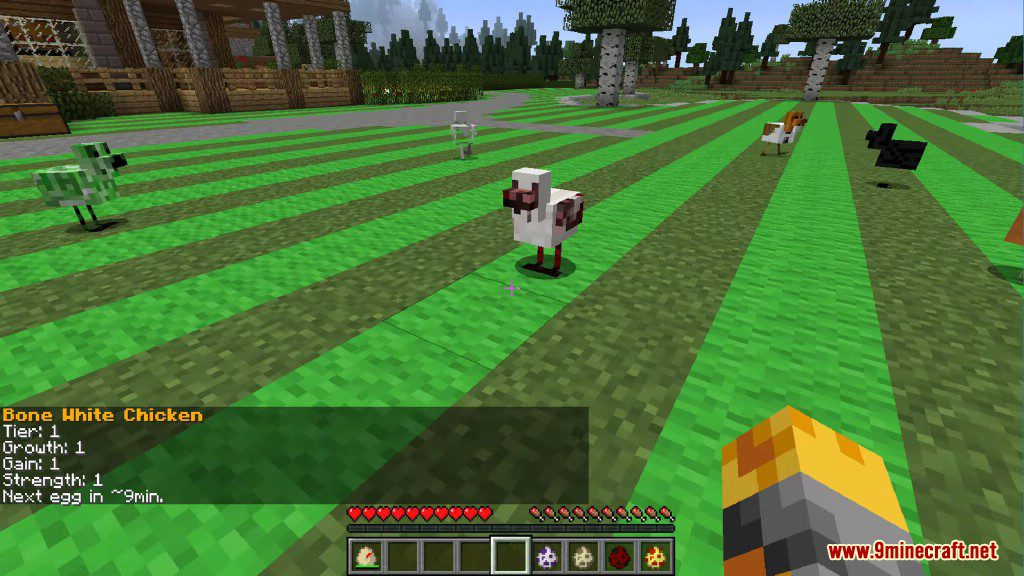 Chickens Mod 1.12.2, 1.11.2 (Just a lot of Chickens) 15