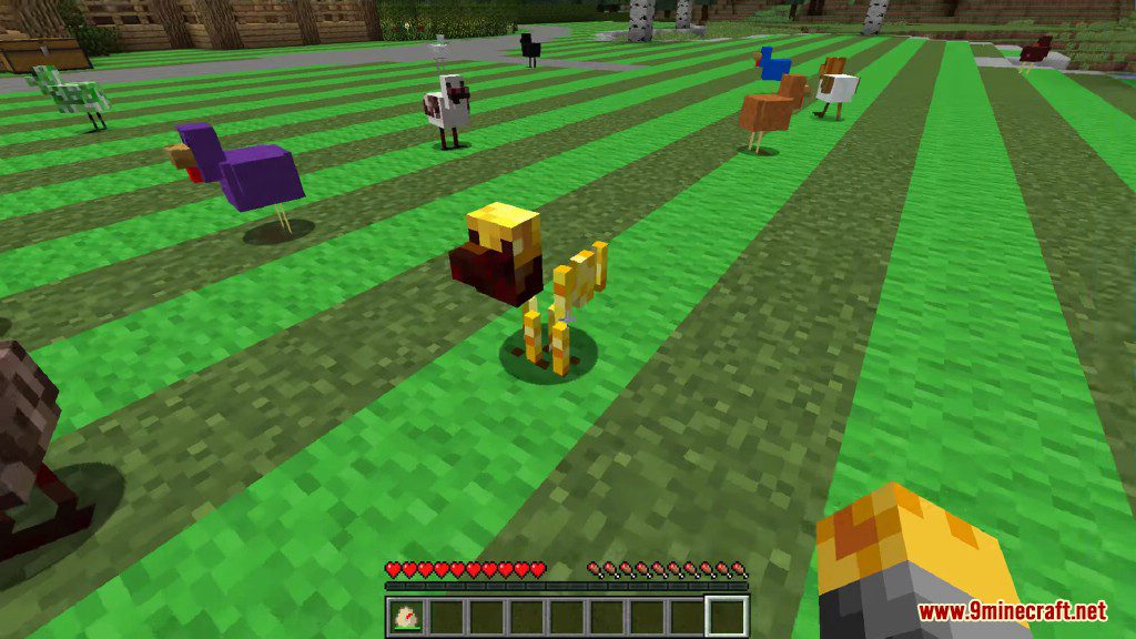 Chickens Mod 1.12.2, 1.11.2 (Just a lot of Chickens) 16