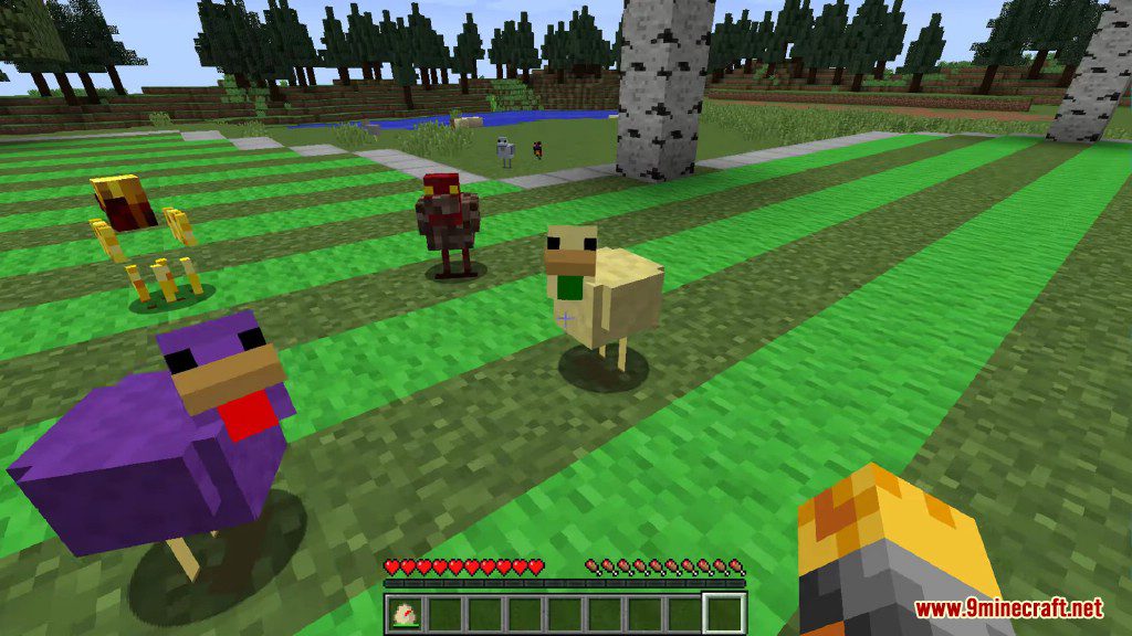 Chickens Mod 1.12.2, 1.11.2 (Just a lot of Chickens) 17