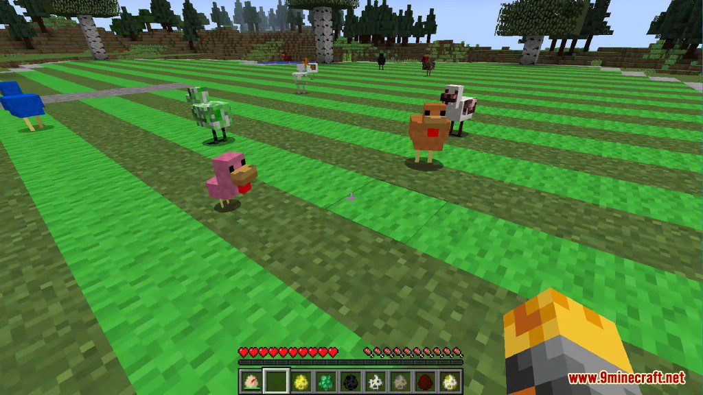Chickens Mod 1.12.2, 1.11.2 (Just a lot of Chickens) 18