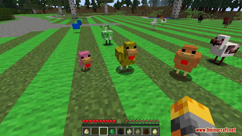 Chickens Mod 1.12.2, 1.11.2 (Just a lot of Chickens) 19