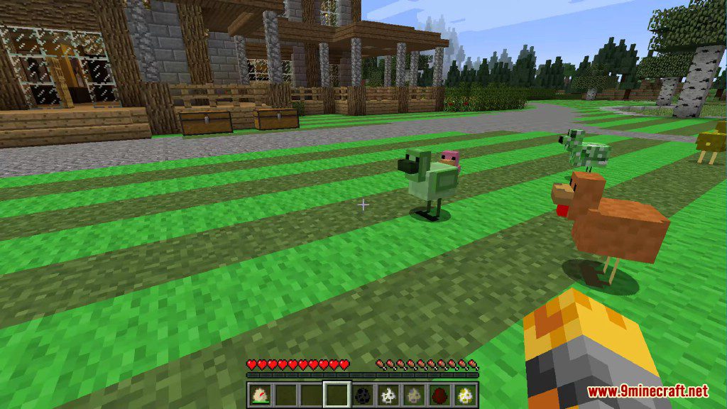 Chickens Mod 1.12.2, 1.11.2 (Just a lot of Chickens) 20