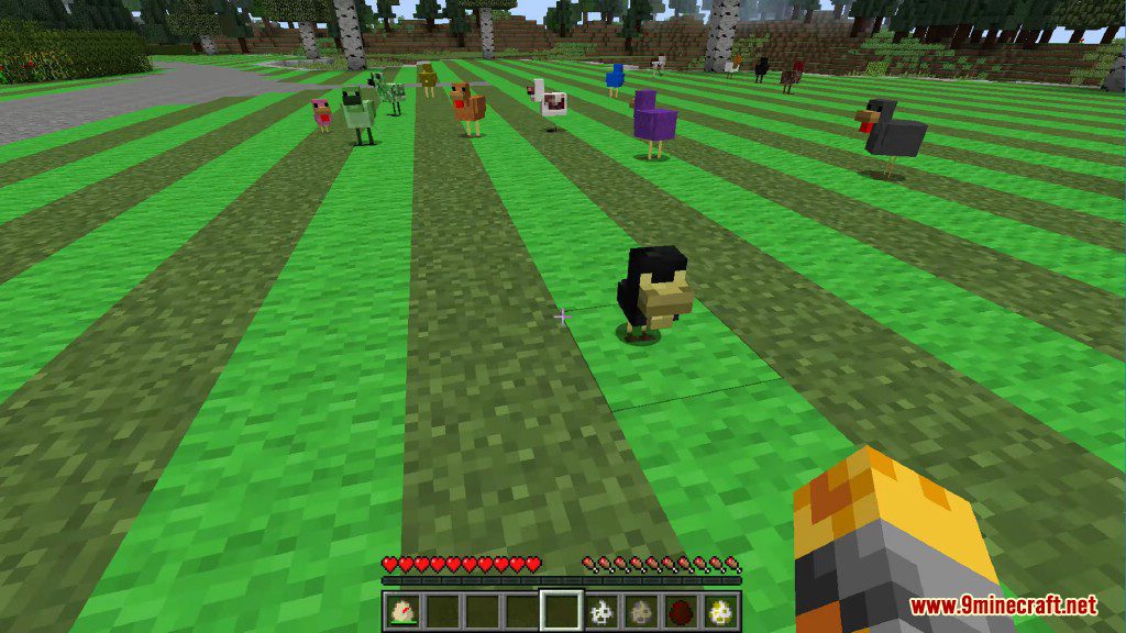 Chickens Mod 1.12.2, 1.11.2 (Just a lot of Chickens) 21