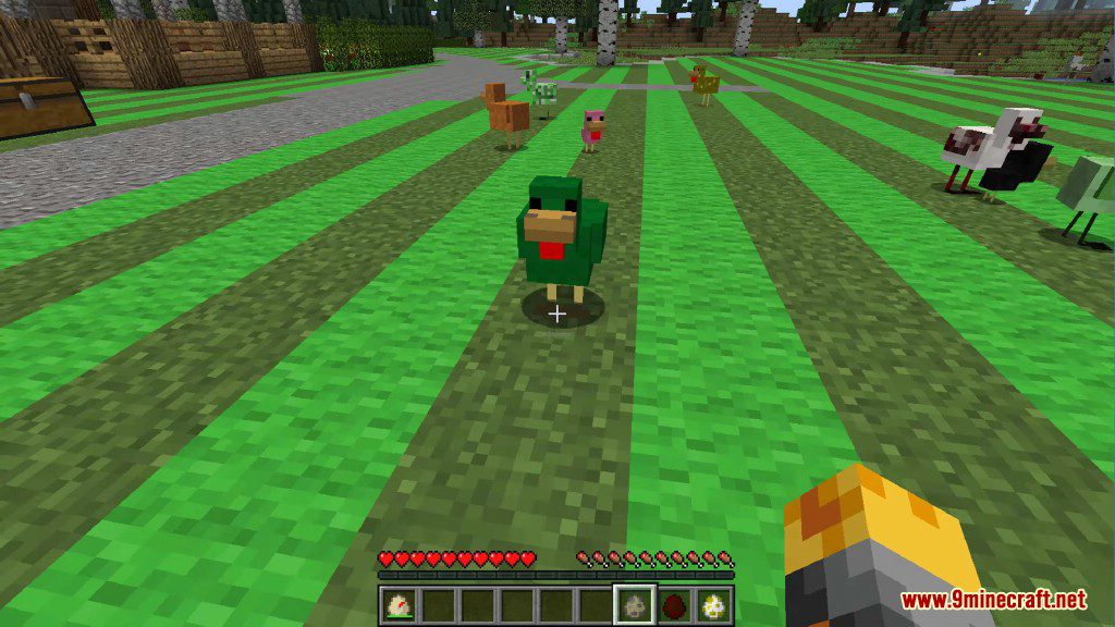 Chickens Mod 1.12.2, 1.11.2 (Just a lot of Chickens) 22