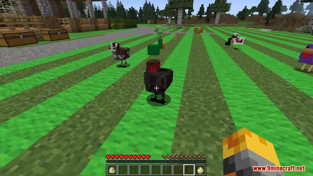 Chickens Mod 1.12.2, 1.11.2 (Just a lot of Chickens) 24