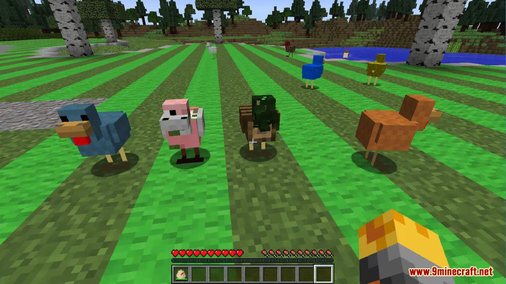 Chickens Mod 1.12.2, 1.11.2 (Just a lot of Chickens) 28