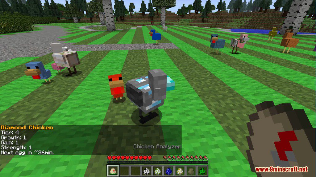 Chickens Mod 1.12.2, 1.11.2 (Just a lot of Chickens) 29