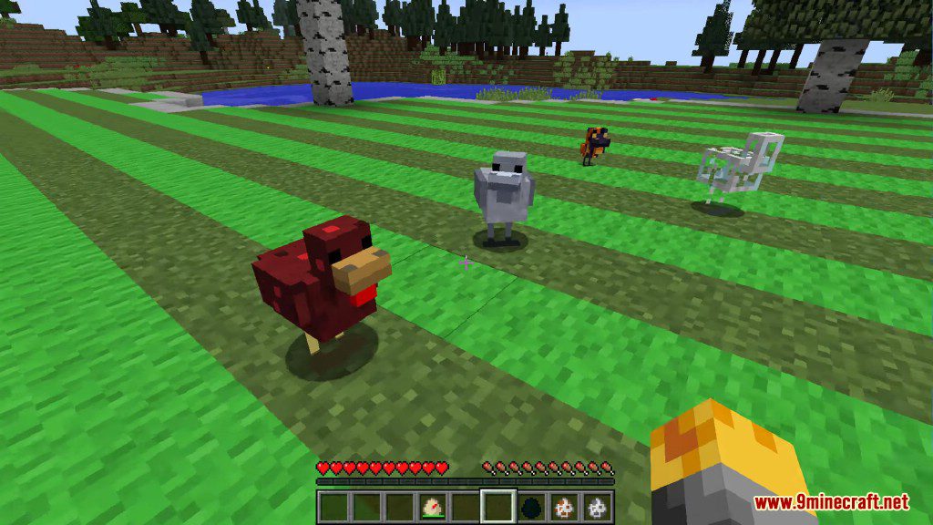 Chickens Mod 1.12.2, 1.11.2 (Just a lot of Chickens) 8