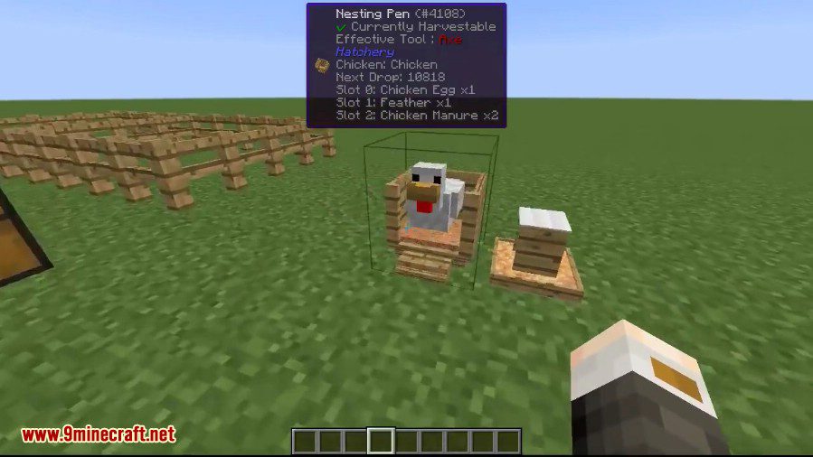 More Chickens Mod 1.12.2, 1.11.2 (New Chickens for Breeding) 4