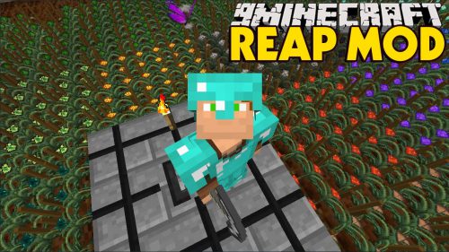 Reap Mod (1.20.4, 1.19.4) – Auto Tree Mining, Auto Farming Thumbnail