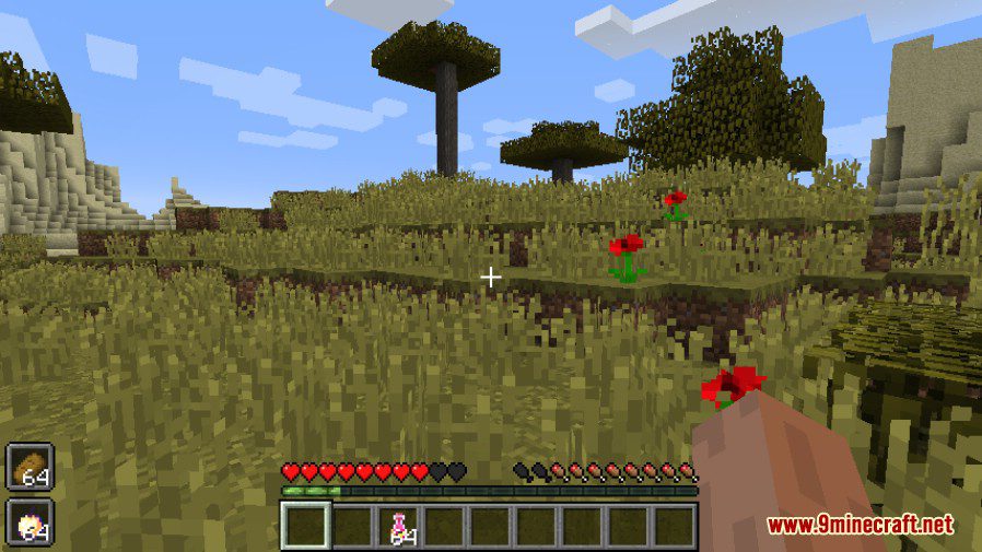 Quick Consume Mod 1.11.2, 1.10.2 (Simple Mod) 5