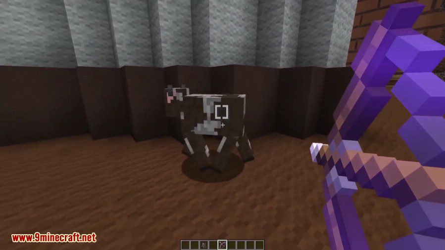 Ultimate Portal Gun Command Block 1.11.2 4