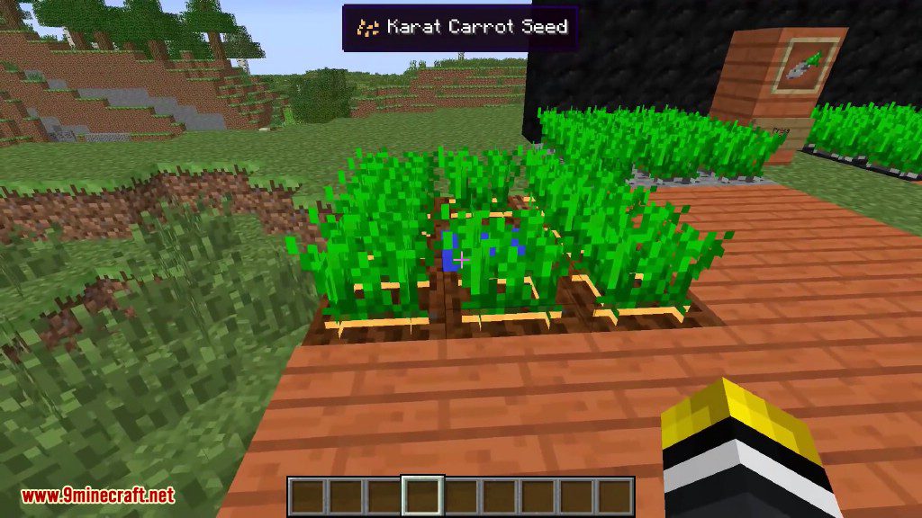 Karat Garden Mod 1.12.2, 1.11.2 (Super Carrots) 5