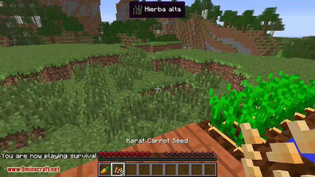 Karat Garden Mod 1.12.2, 1.11.2 (Super Carrots) 6