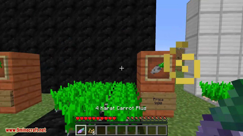 Karat Garden Mod 1.12.2, 1.11.2 (Super Carrots) 8