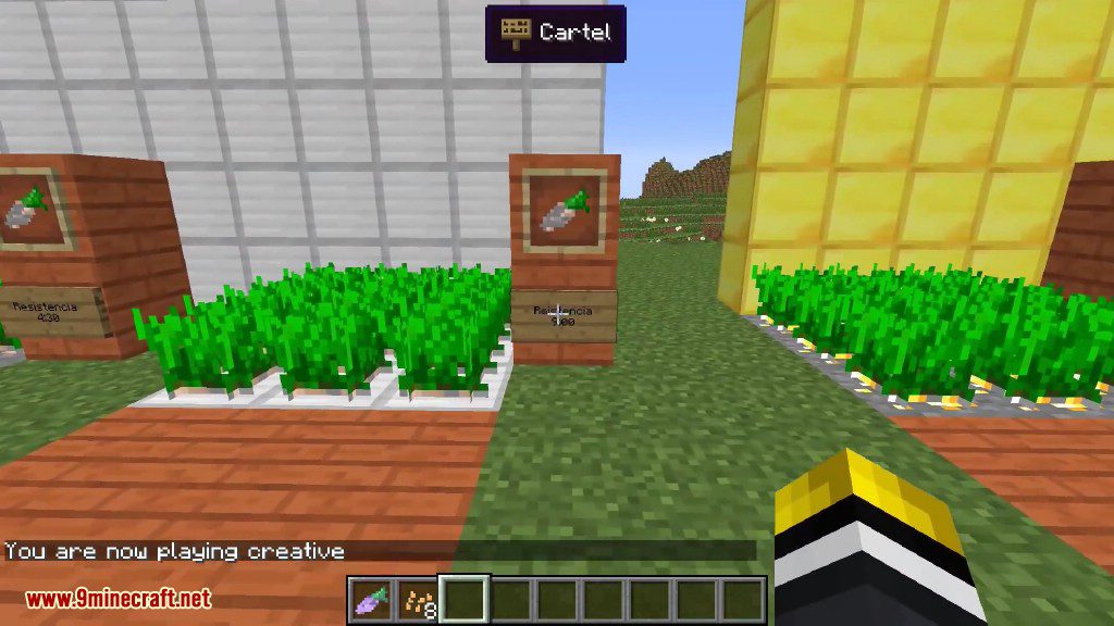 Karat Garden Mod 1.12.2, 1.11.2 (Super Carrots) 10