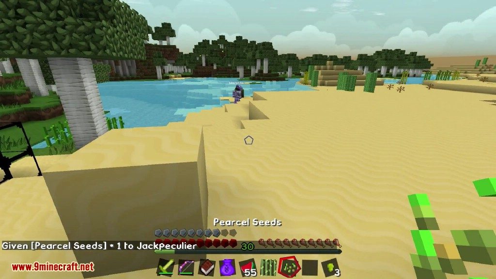 Pearcel Mod 1.12.2, 1.11.2 (Joyful Time in Minecraft) 12