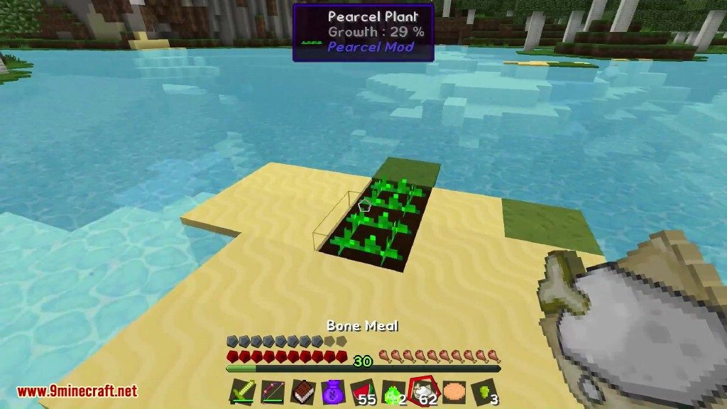 Pearcel Mod 1.12.2, 1.11.2 (Joyful Time in Minecraft) 17