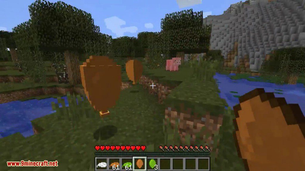 Stupid Things Mod 1.12.2, 1.11.2 (Random, Stupid Items) 25