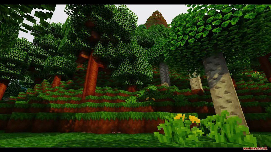 Woodpecker Resource Pack (1.20.4, 1.19.4) - Texture Pack 7