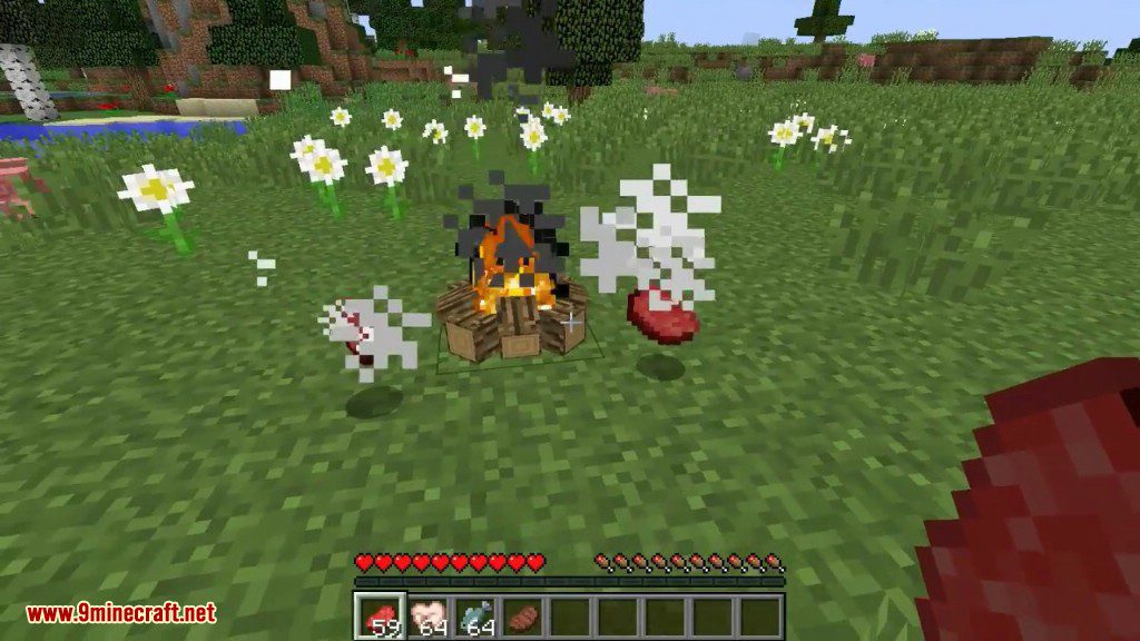 Functional Aesthetics Mod 1.11.2 (Cooking in Campfire) 12