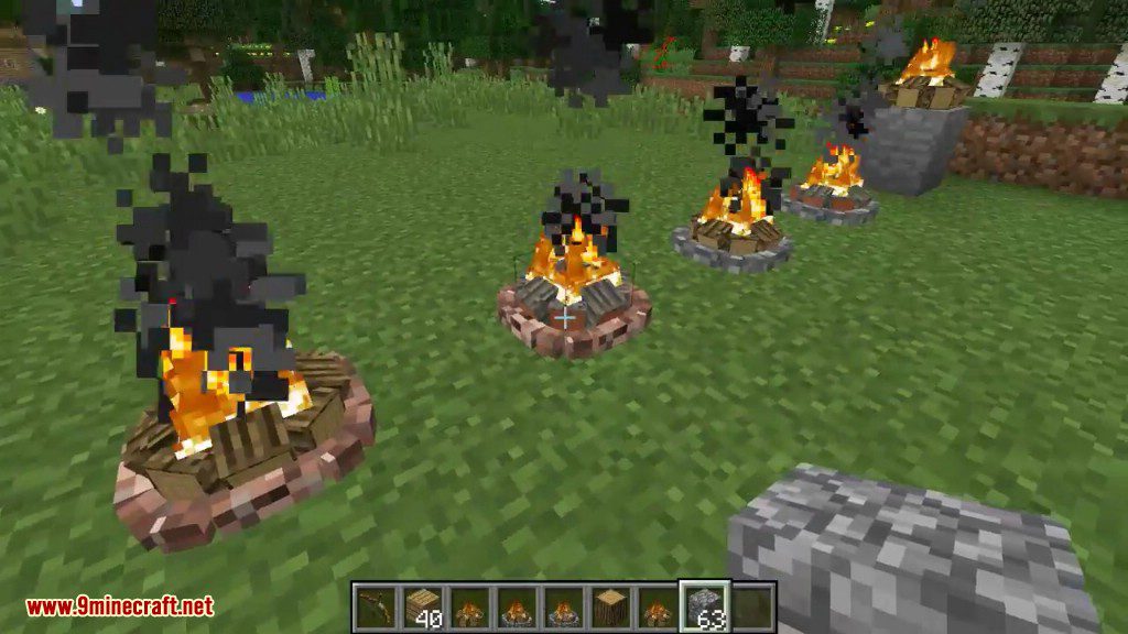 Functional Aesthetics Mod 1.11.2 (Cooking in Campfire) 16