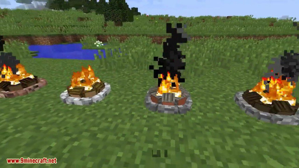 Functional Aesthetics Mod 1.11.2 (Cooking in Campfire) 10