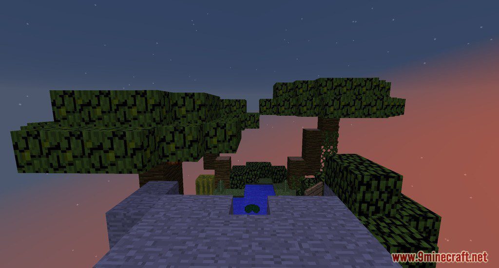 Nine Islands Skyblock Map 1.12.2, 1.11.2 for Minecraft 7