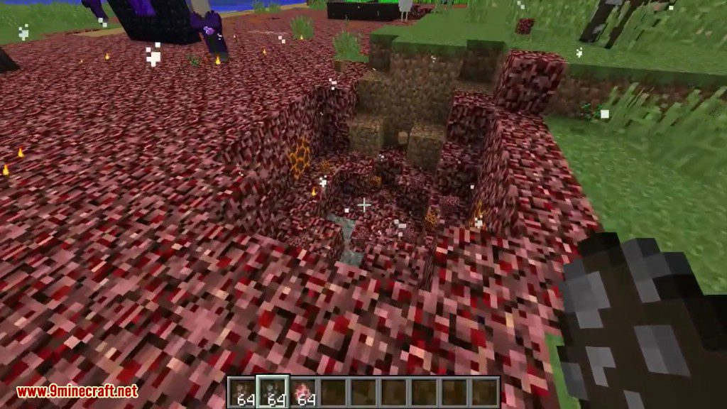 The Creeping Nether Mod 1.12.2, 1.11.2 (Nether Leaves the Portal) 10